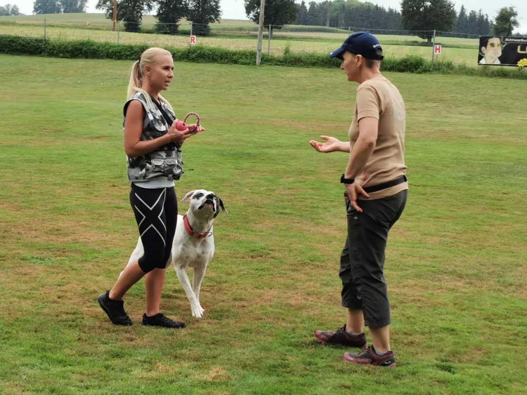 Besprechen