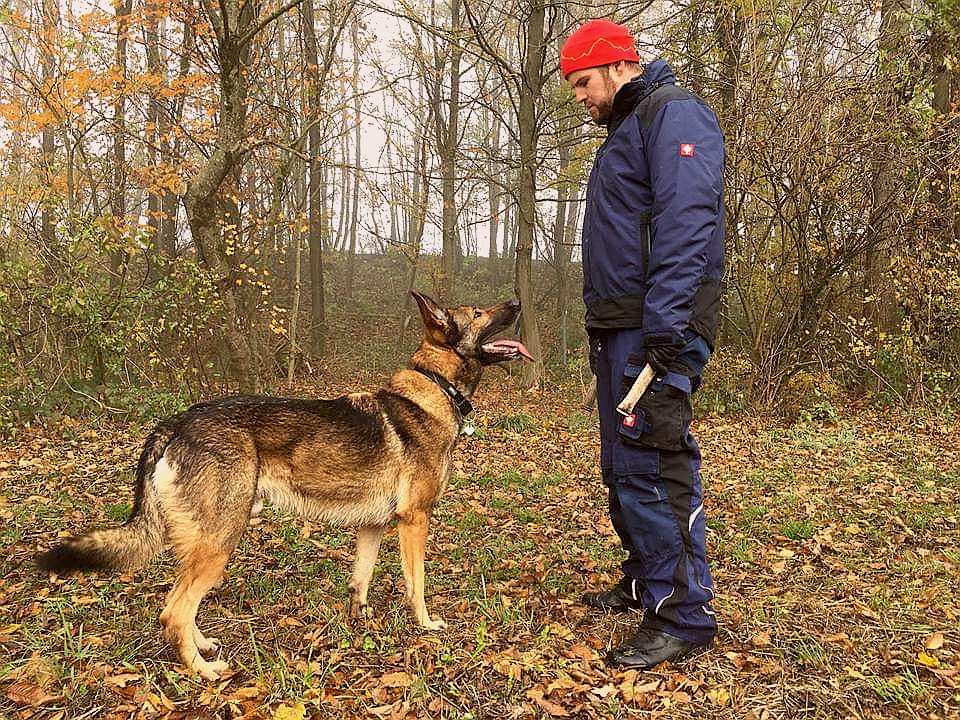 Foto von Flink